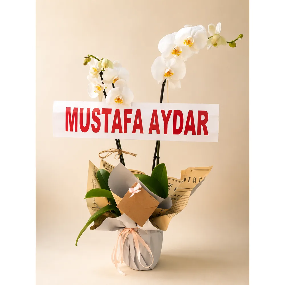Şafak Işığı Açılış ve Düğün Çelengi
